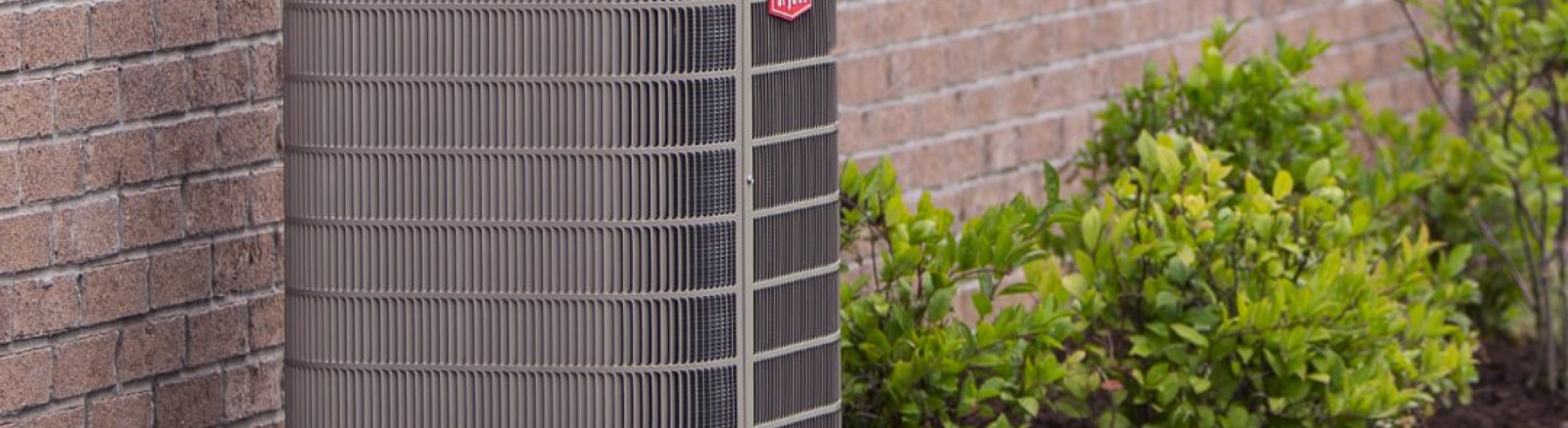 Dirty and Damaged Air Conditioning Coils Sanders & Johnson